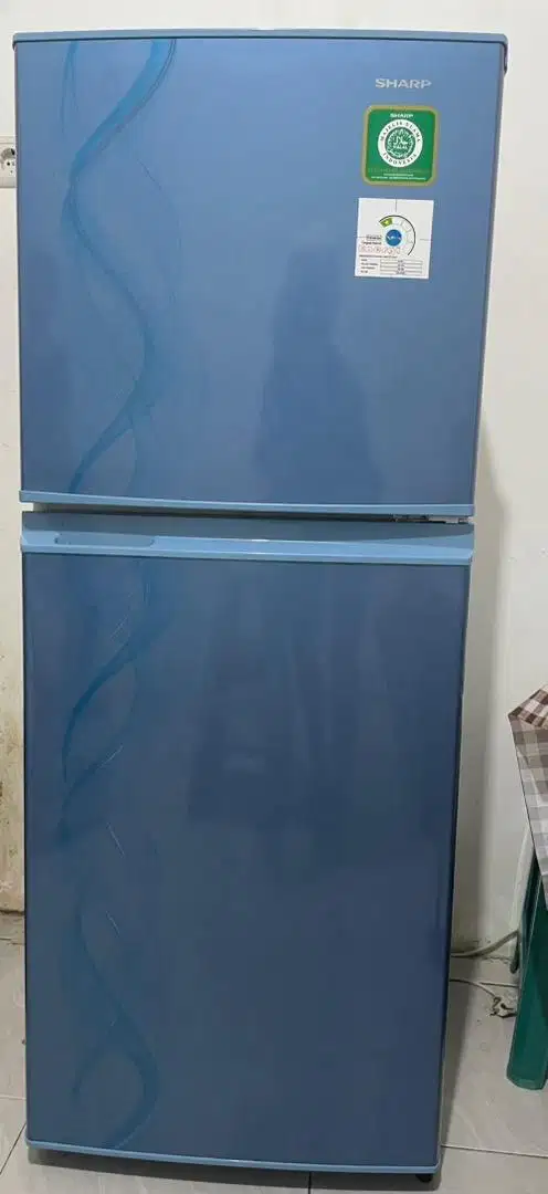 Kulkas sharp 2 pintu