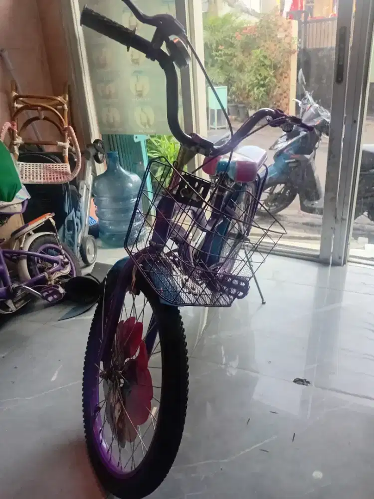 Sepeda anak cewek