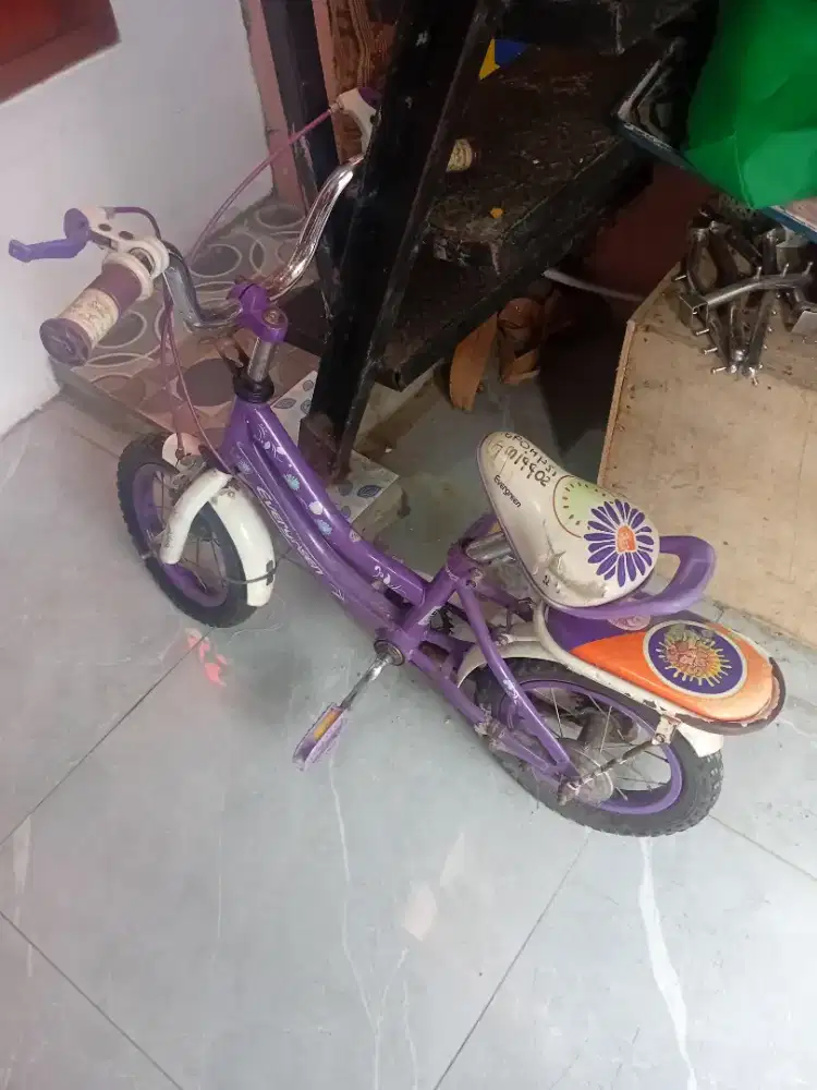 Jual sepeda anak