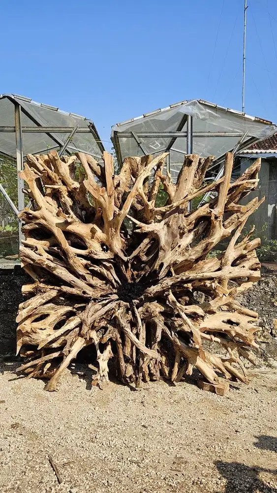 HIASAN DINDING AKAR JATI ASLII