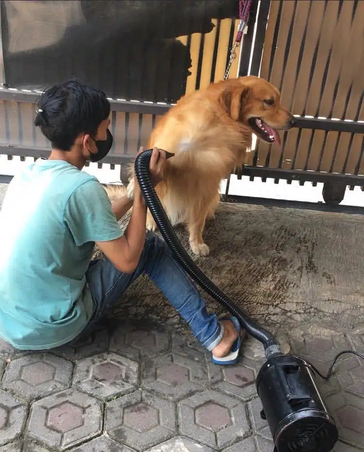 Grooming panggilan bandung