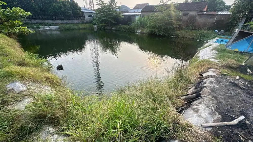 DIJUAL CEPAT SAWAH/KOLAM