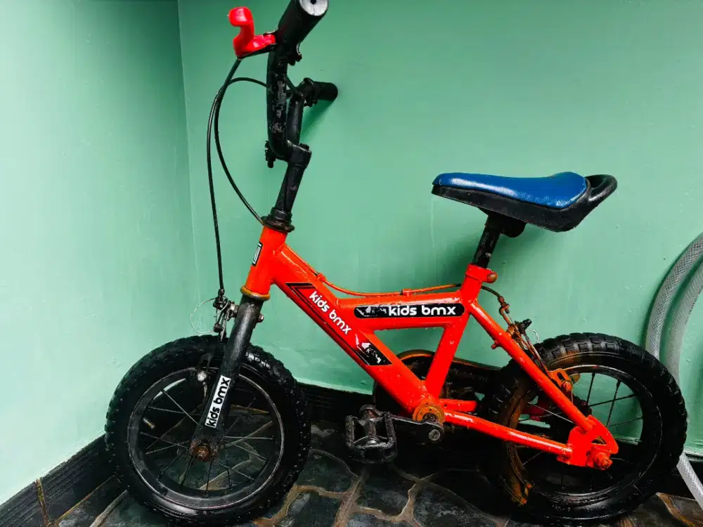 Sepeda anak laki-laki