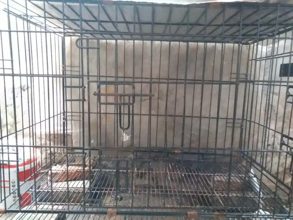 Kandang Besi Tebal Best in Show