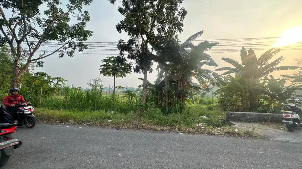 di jual cepat tanah persawahan