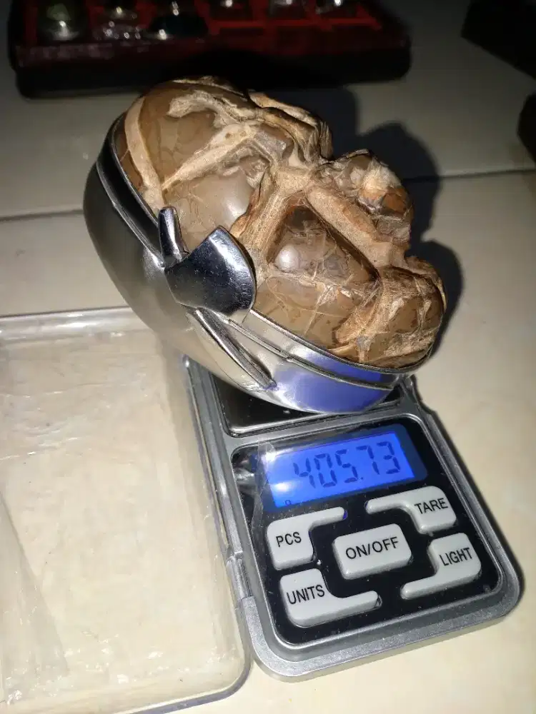 Batu sisik Naga ukiran alam original