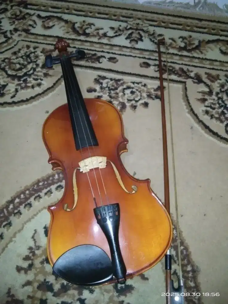 Biola violin mv 008 1/2