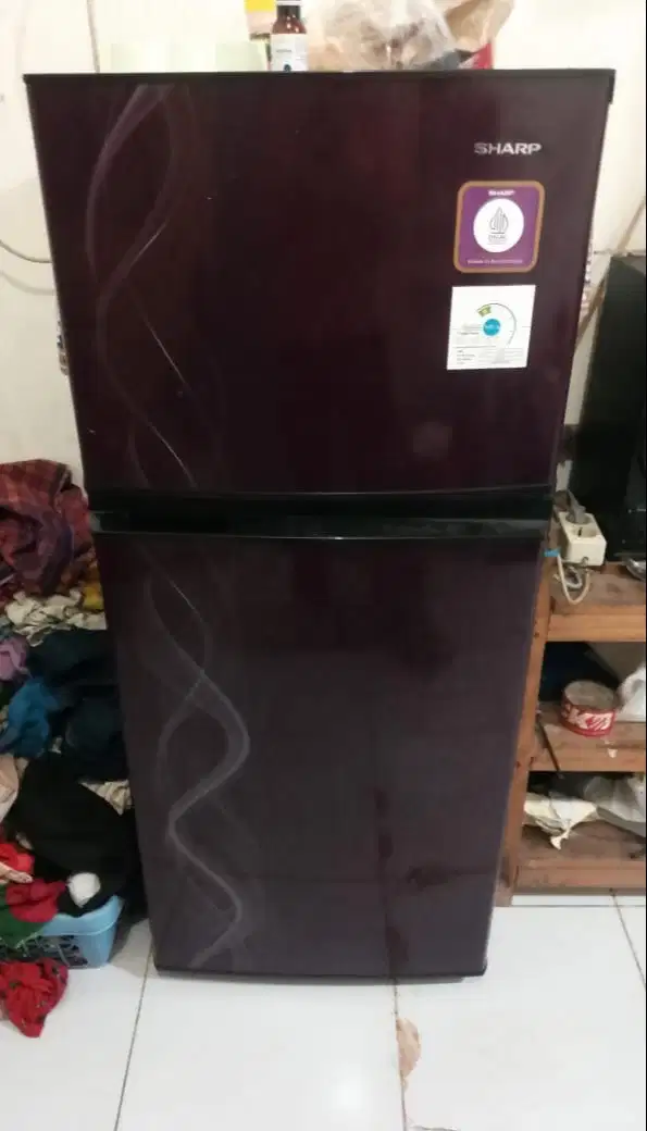 Kulkas Sharp 2 Pintu