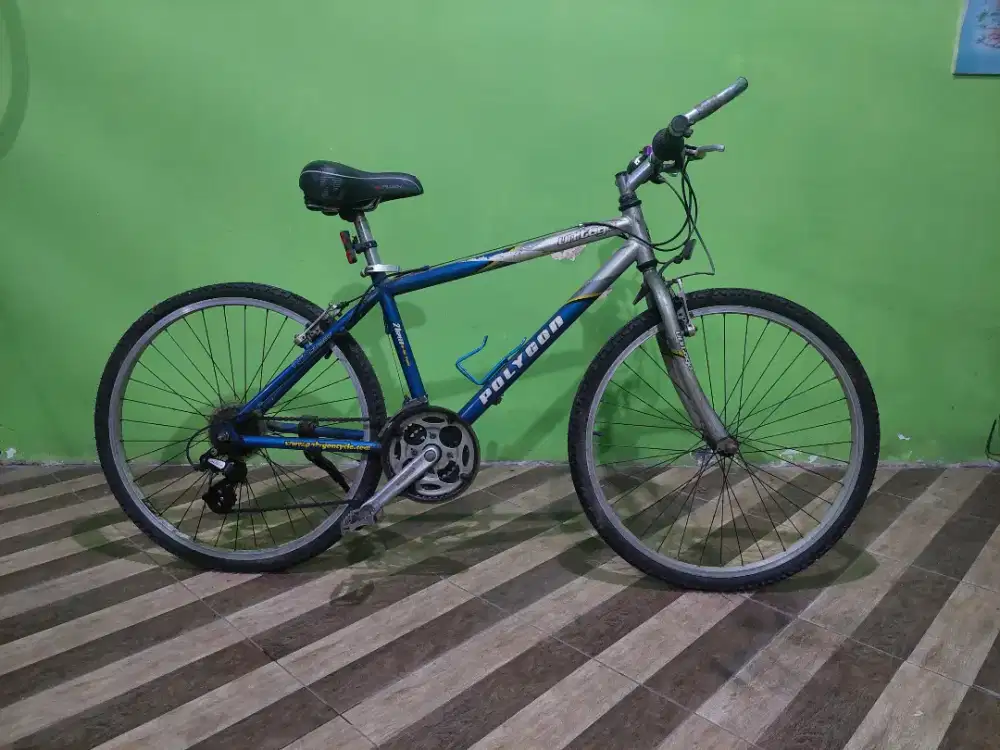 Sepeda polygon unitoga 2009 nego