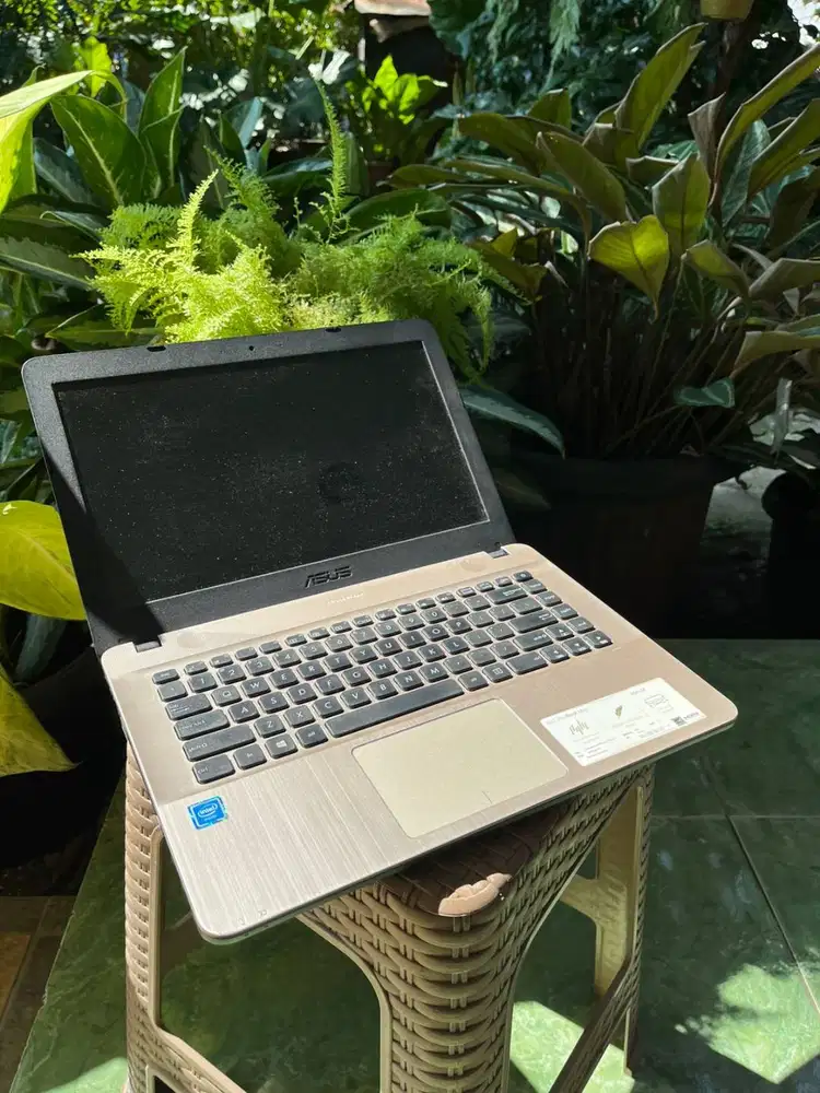 ASUS Vivobook Max X441M