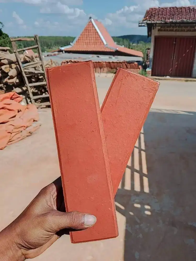 Bata tempel tercotta