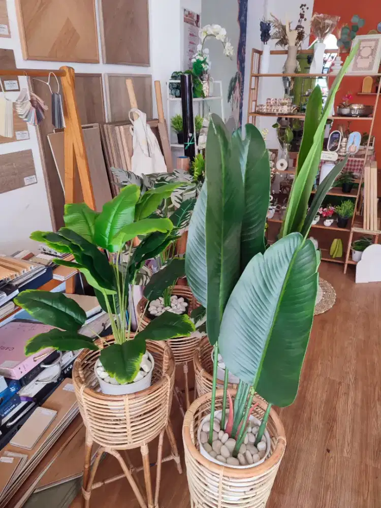 Homedekor natural - estetik