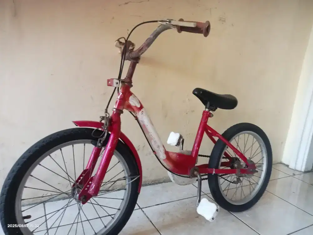 Sepeda anak perempuan uk 14