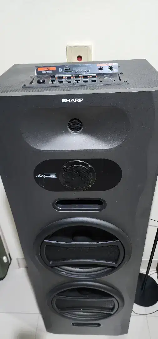 Speaker Sharp Cbox Pro-X Series 12