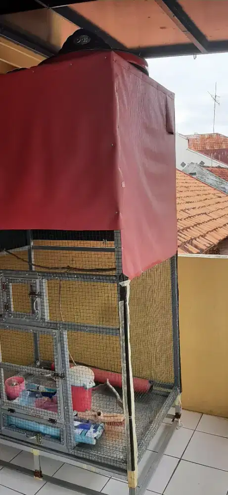 Kandang burung (bisa untuk ternak)