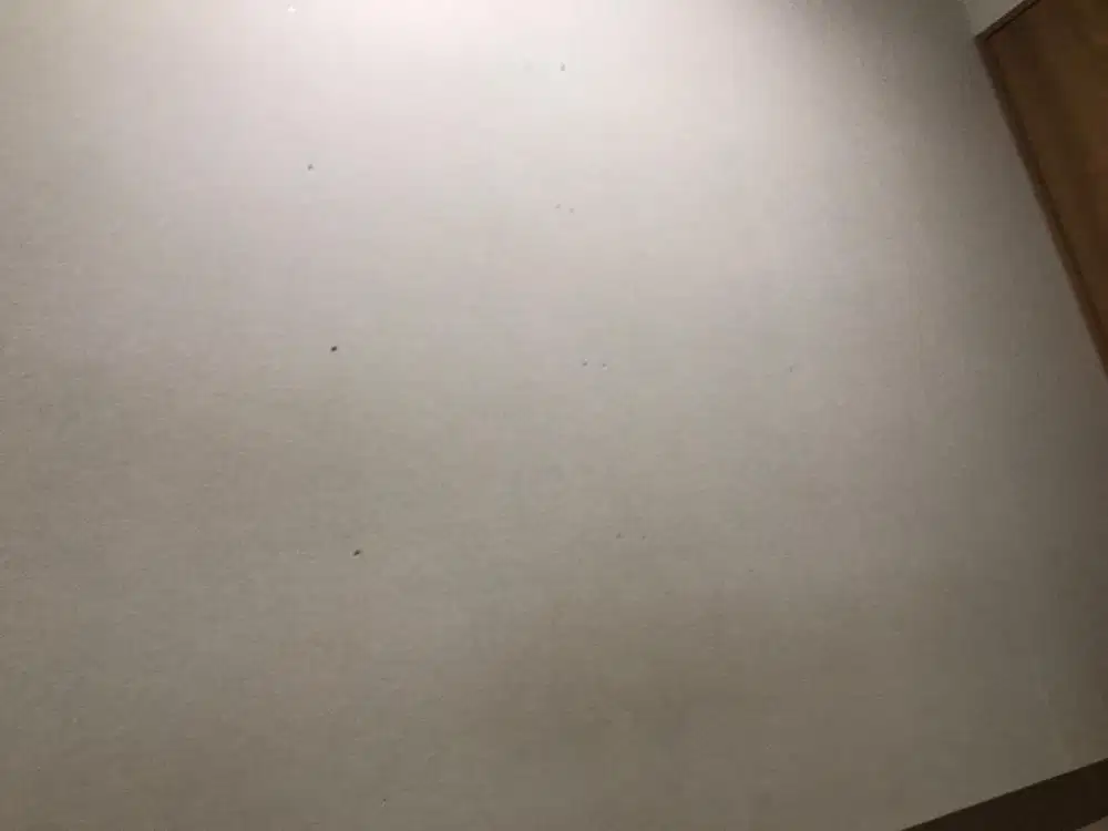 tukang mebel dan interior