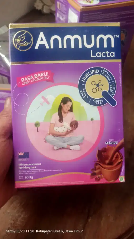 Anmum lacta rasa coklat