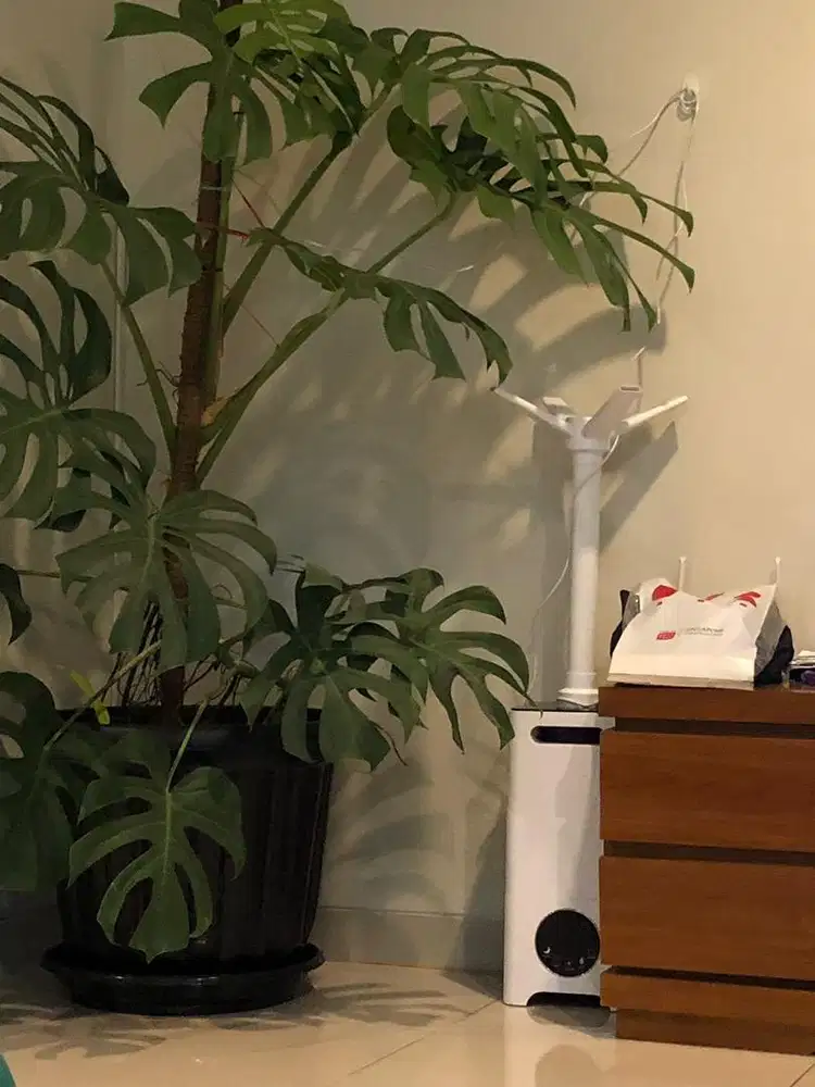 ULTRASONIC ATOMIZER HUMIDIFIER