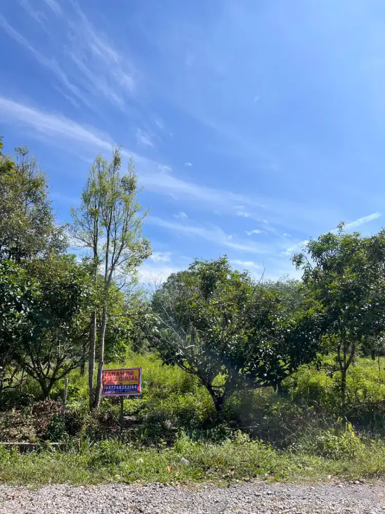 Dijual tanah lokasi strategis berhadapan gerbang SMAN 2 Rumbio Jaya
