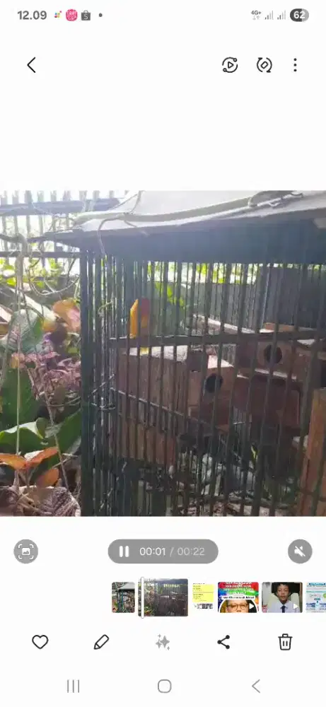 Dijual Kandang Burung Besi