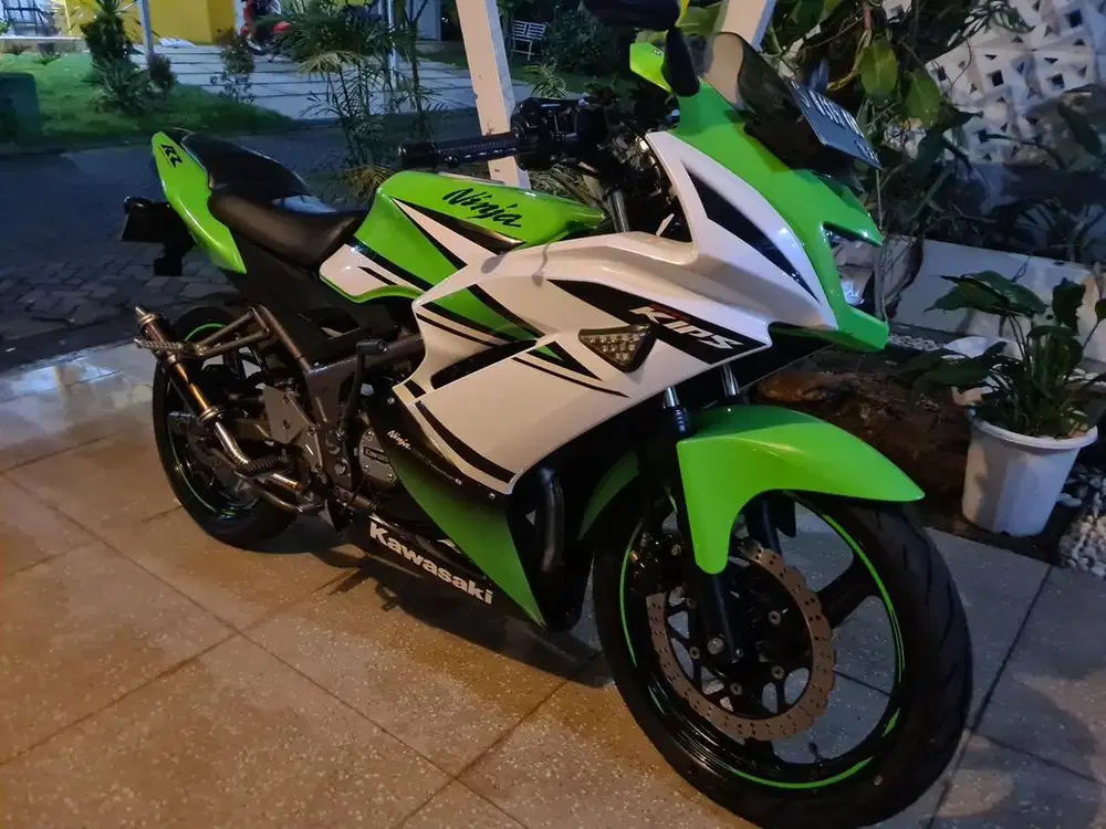 Kawasaki Ninja RR New 30 th Anniversary
