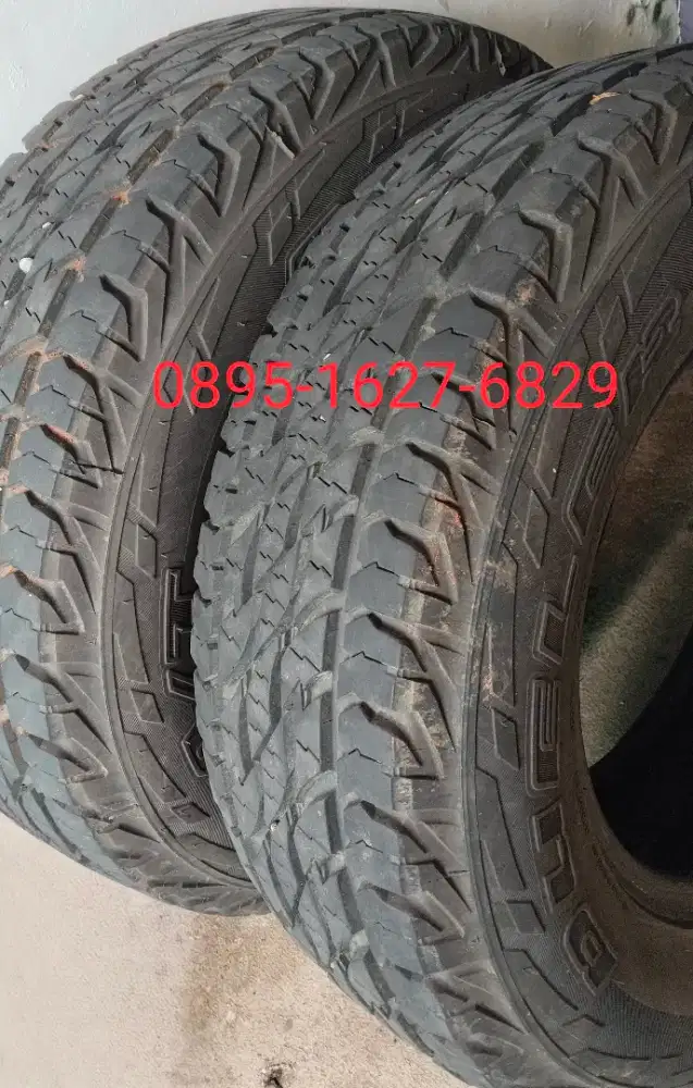 Ban Bridgestone R15