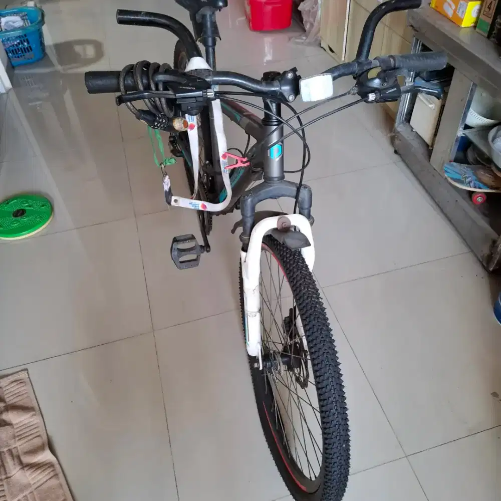 Sepeda polygon monarch