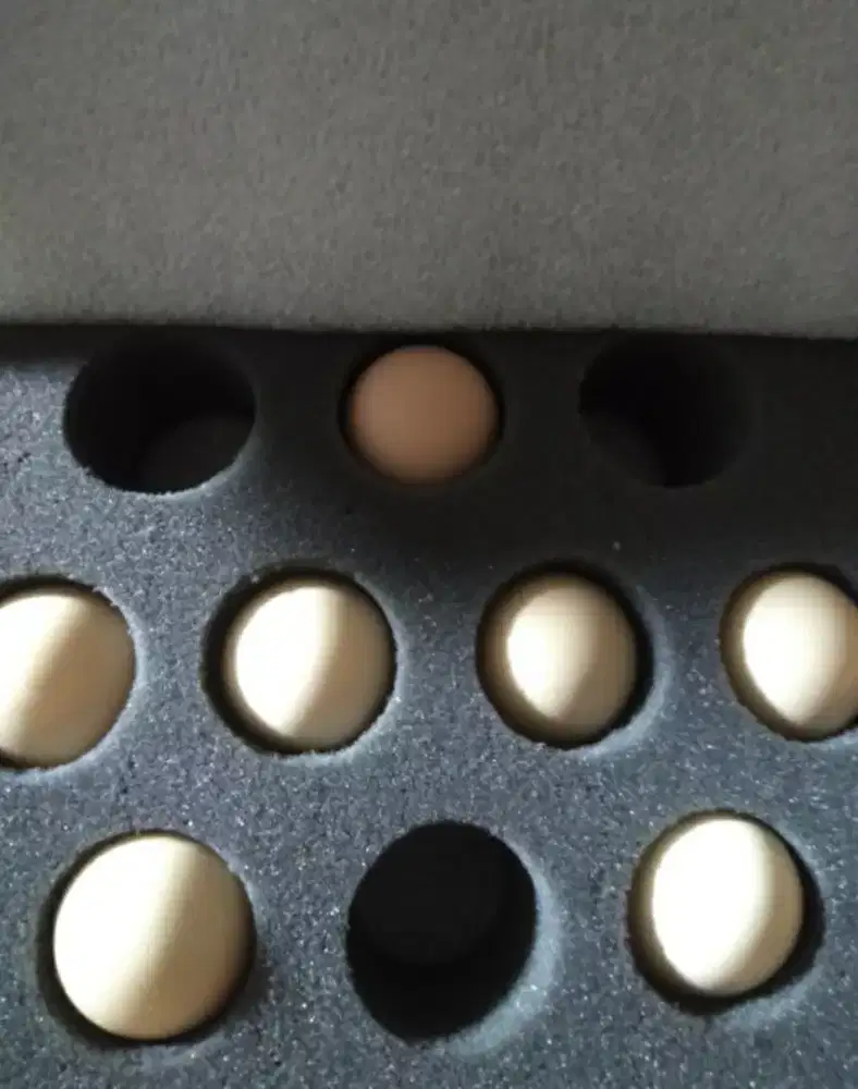 TELOR. AYAM SHAMO, BANGKOK, PAKHOY, PAMA, MANGON, GANOI