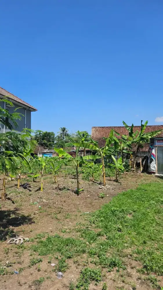 Jual tanah borobudur kabupaten magelang