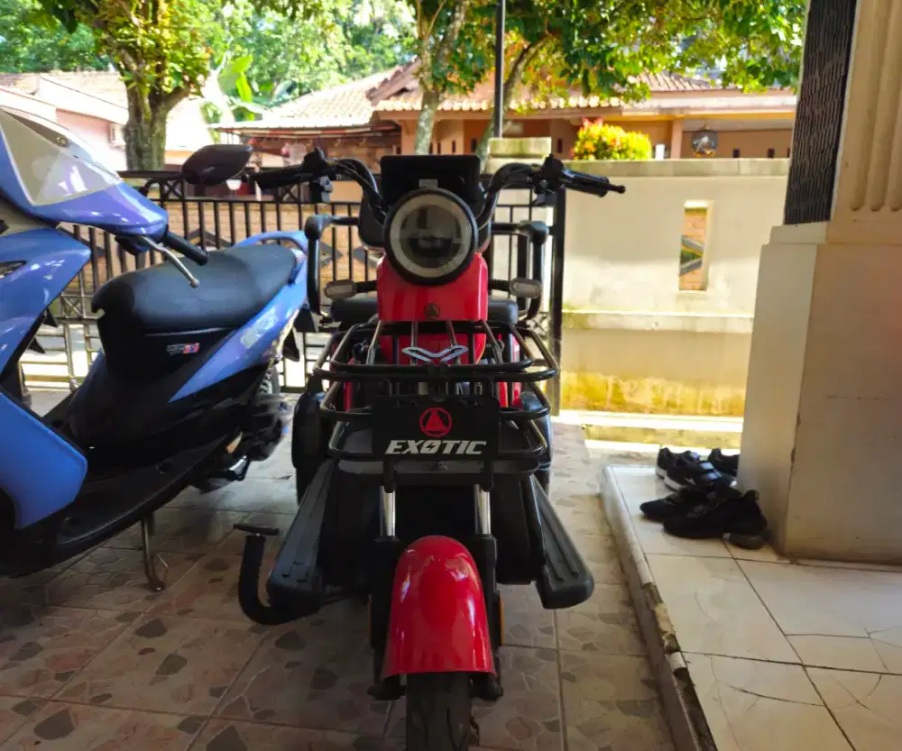 sepeda listrik roda tiga /exotic sierra motor listrik roda tiga