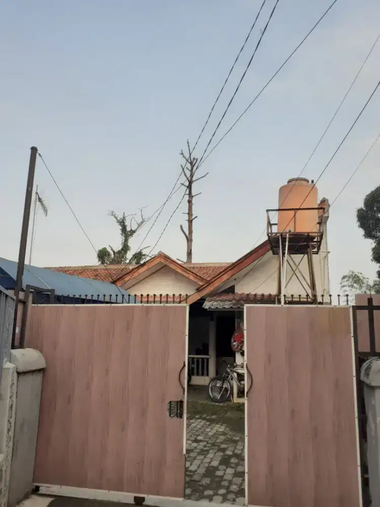 Kost putra lubang buaya