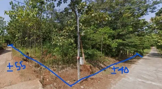 Tanah di jual (hook ) status Non Pertanian ( + Pohon Mayoritas Jati)