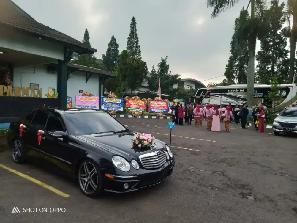 sewa mobil pengantin or rental wedding car mercy alphard