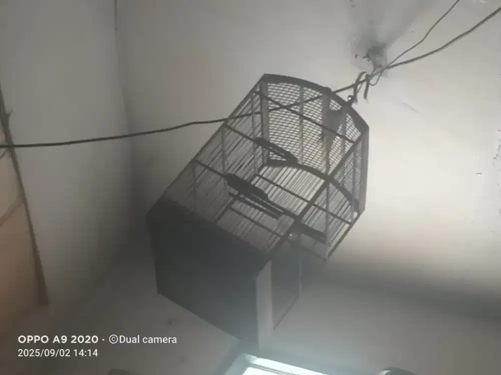 Di jual kandang burung