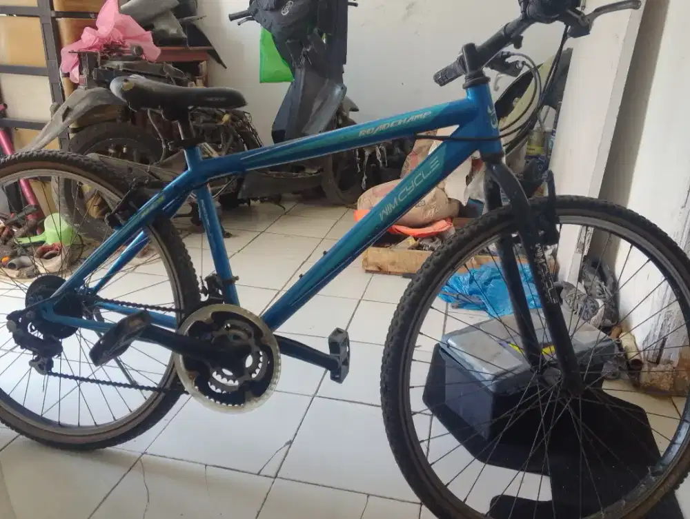 Sepeda wim cycle roadchamp