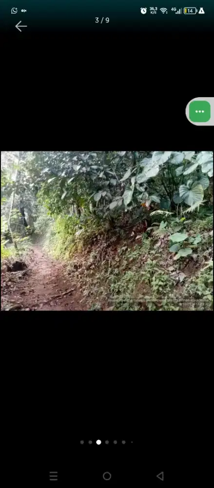 Kebun Akses Jalan Mobil