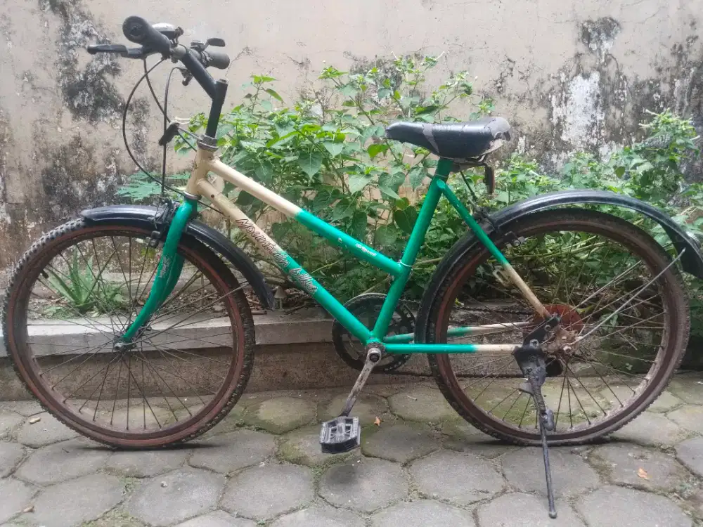 Sepeda federal ring 24