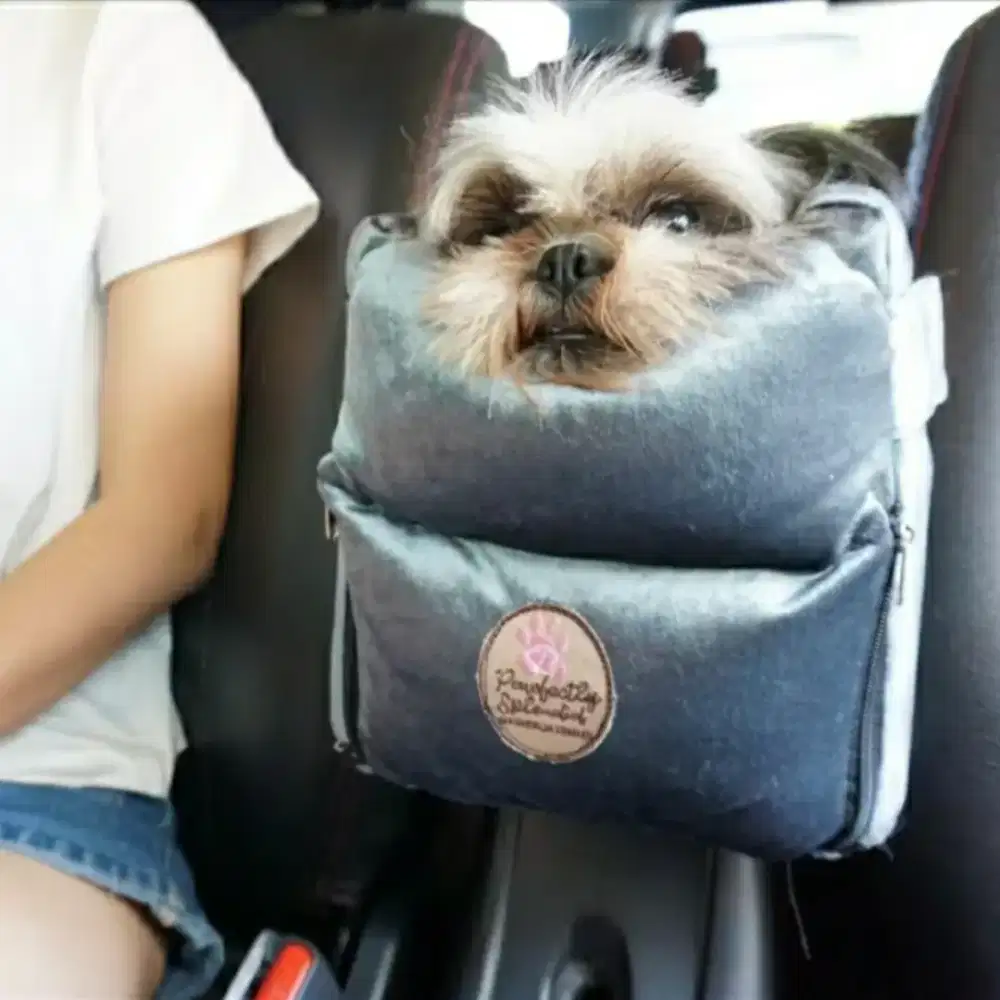 Tempat Dudukan Mobil Anjing Kucing Anabul