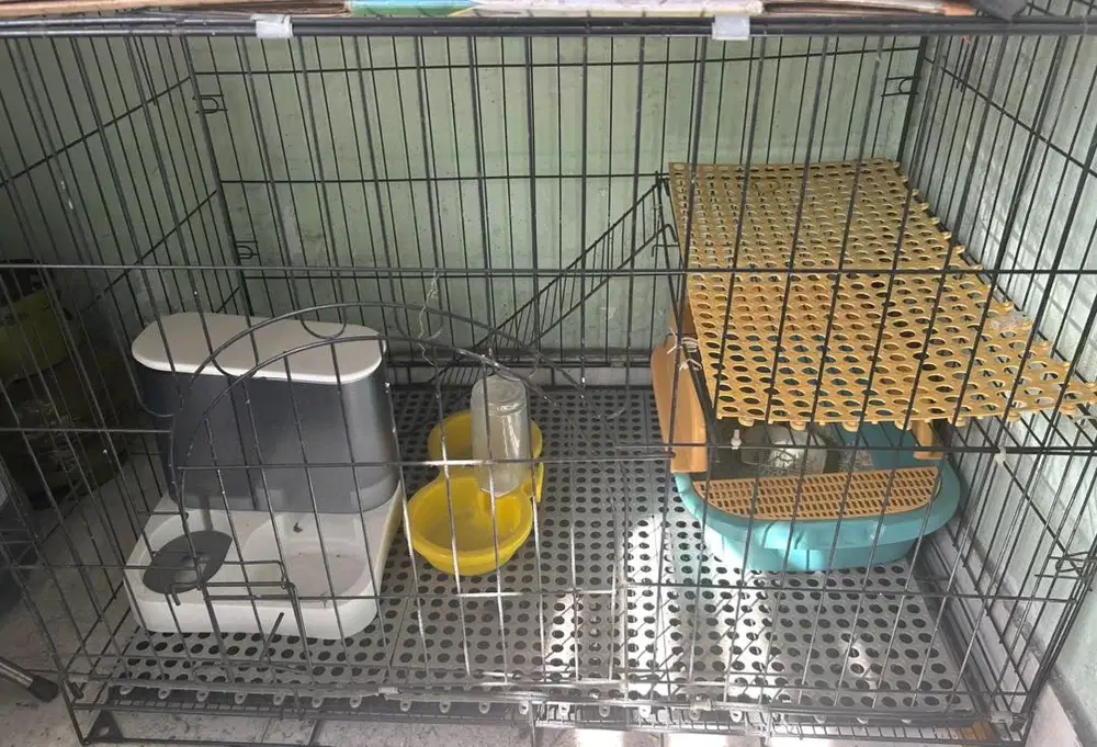 Kandang Kucing + Litter box dan Tempat Makan