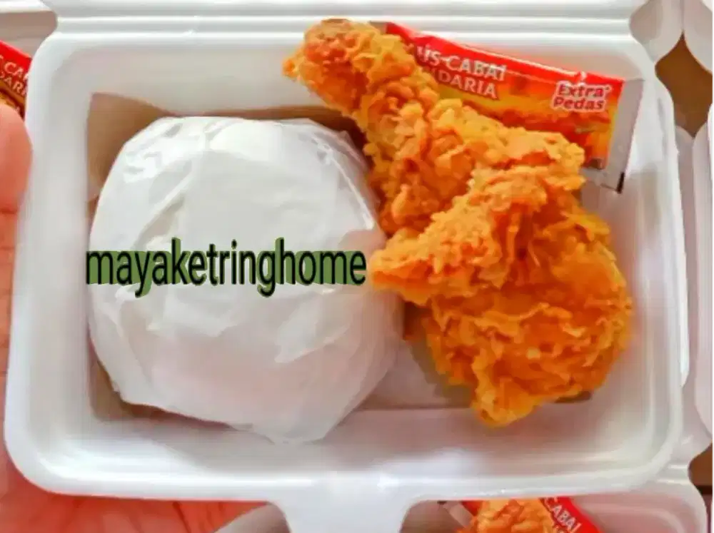 Nasi kotak di bandar Lampung praktis ekonomis dan halal