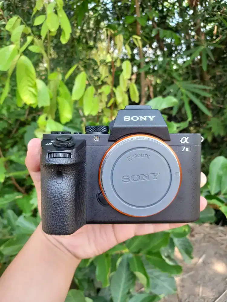 Bo sony a7 mark ii muluss