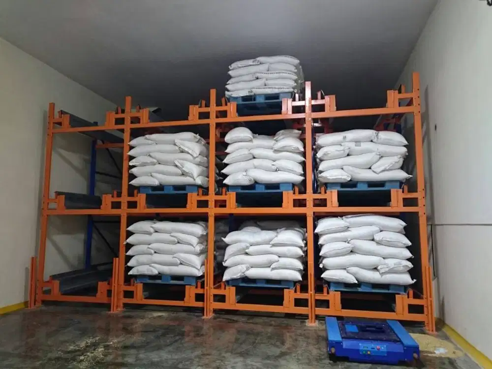 RAK SHUTTLE DRIVE IN HEAVY DUTY KAPASITAS 1000KG-2000KG