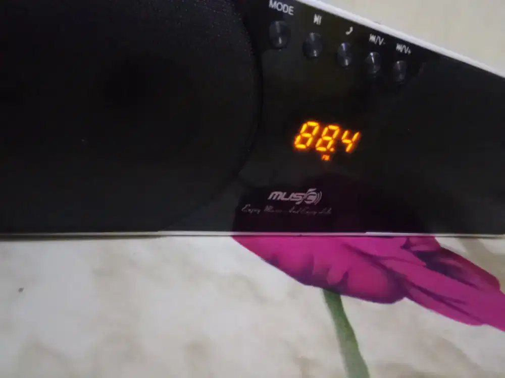 Digital wireless speaker