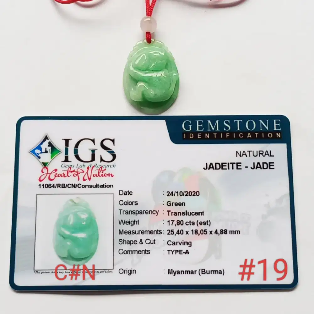 Liontin batu natural jedeite jade type A, Burma. Gem id card IGS