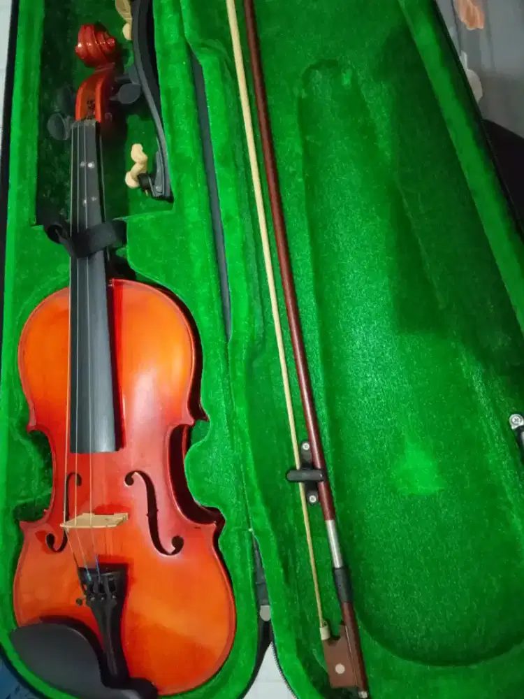 Biola Antonio Brucie 3/4