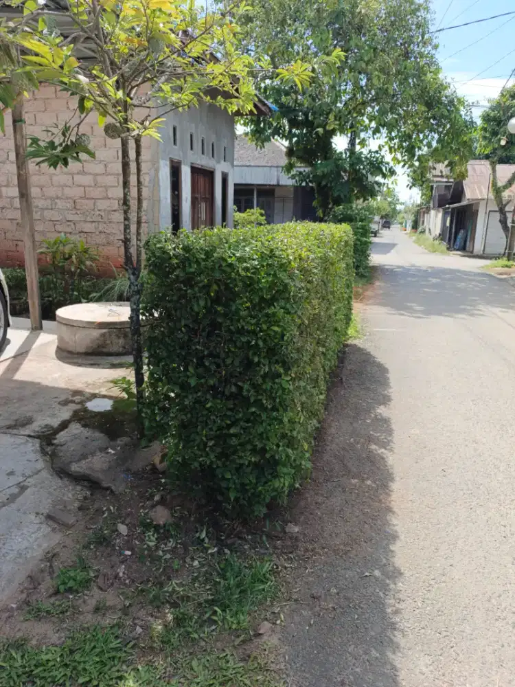 SAYA MENCARI PEKERJAAN CLEANING SERVICE