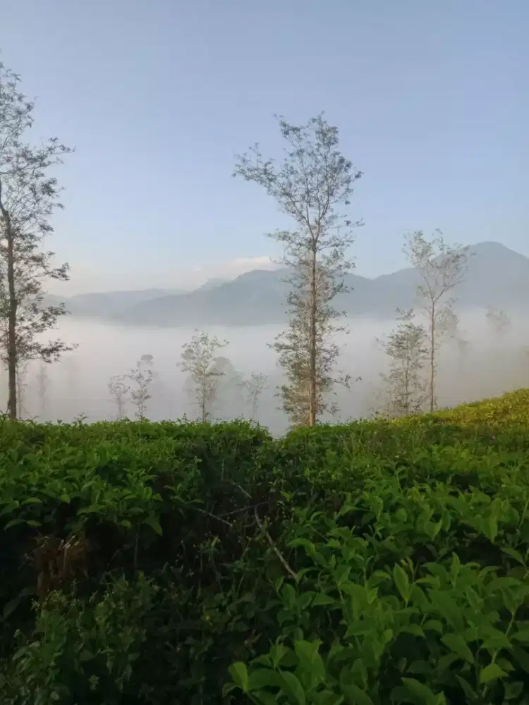 Cari pekerjaan yang serius