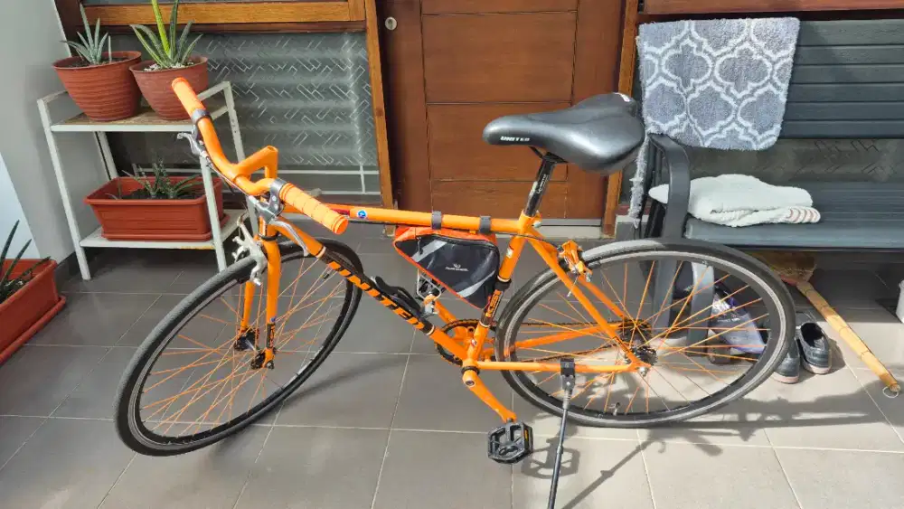 Sepeda United limited edition bisa fixie bisa freewheel