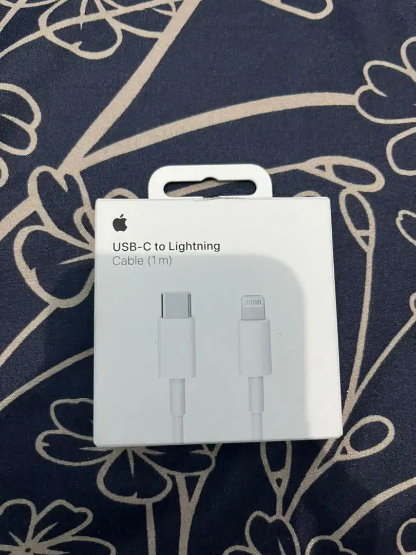 USB C TO LIGHTNING IPHONE