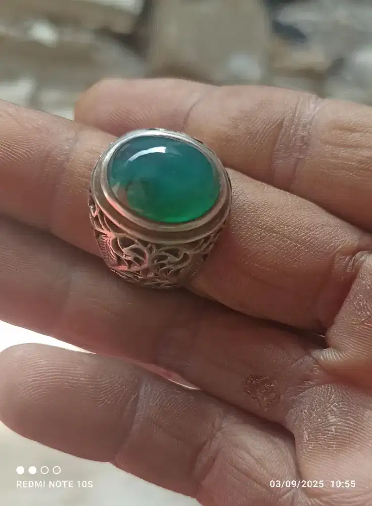 Natural bacan gulau kura tali hitam lawas